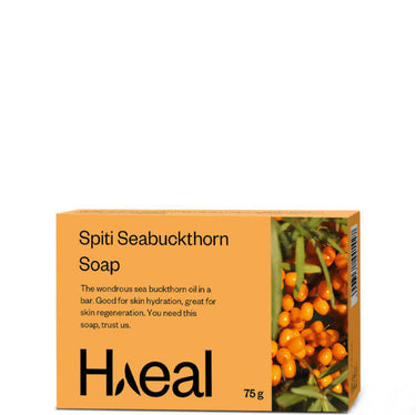 https://cdn.shopify.com/s/files/1/1857/6931/products/ha85gLgXSQ.jpg?v=1631364581